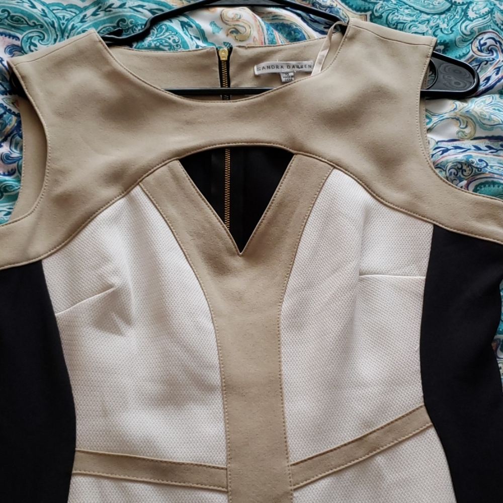 Sandra's Darren color block dress